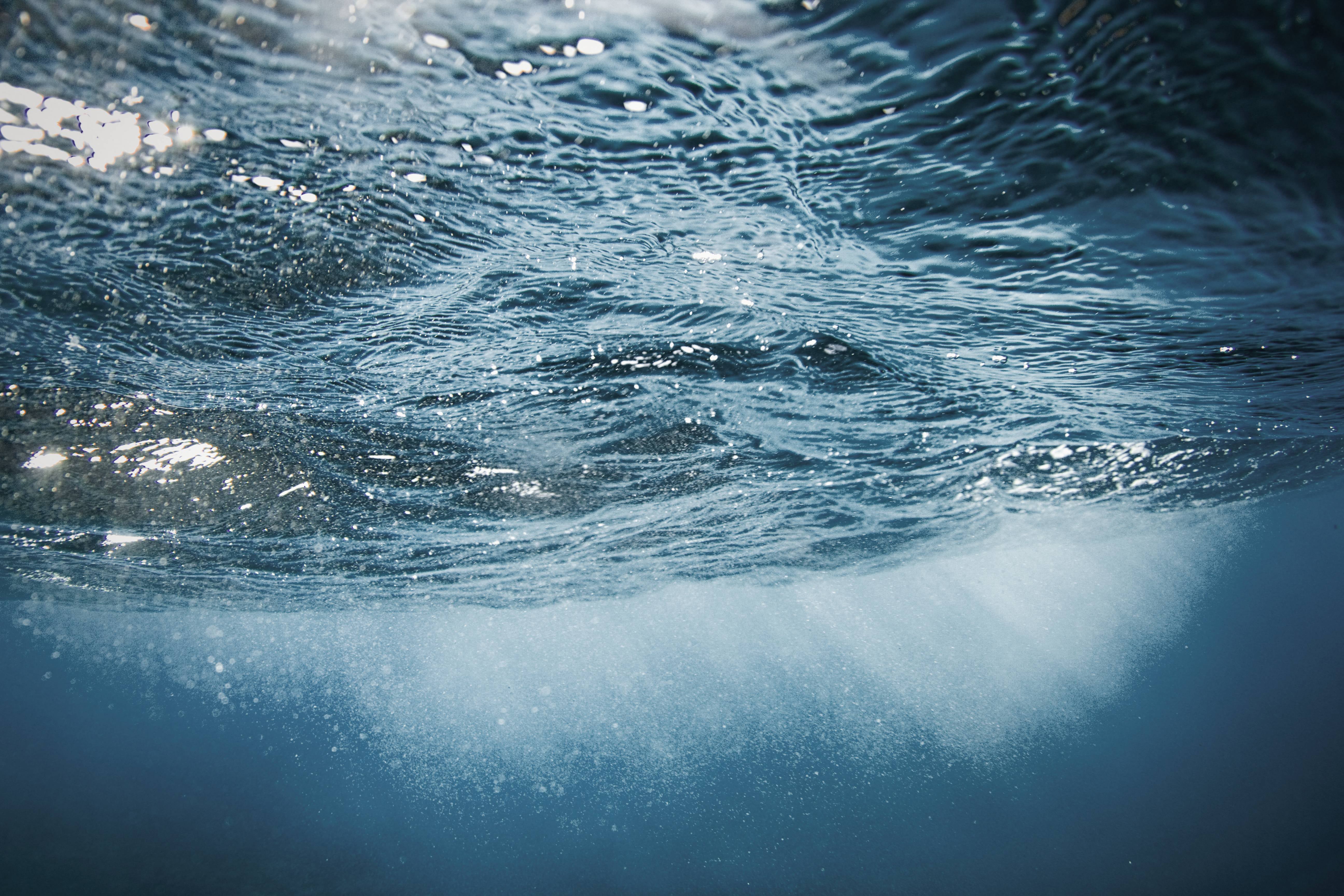 世界海洋デー（World Ocean Day）